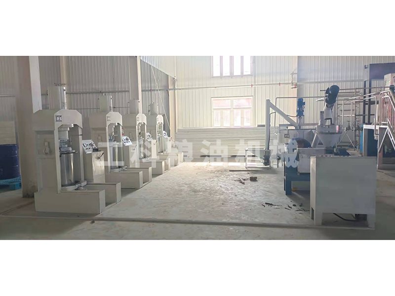 核桃油壓榨設備安裝現場